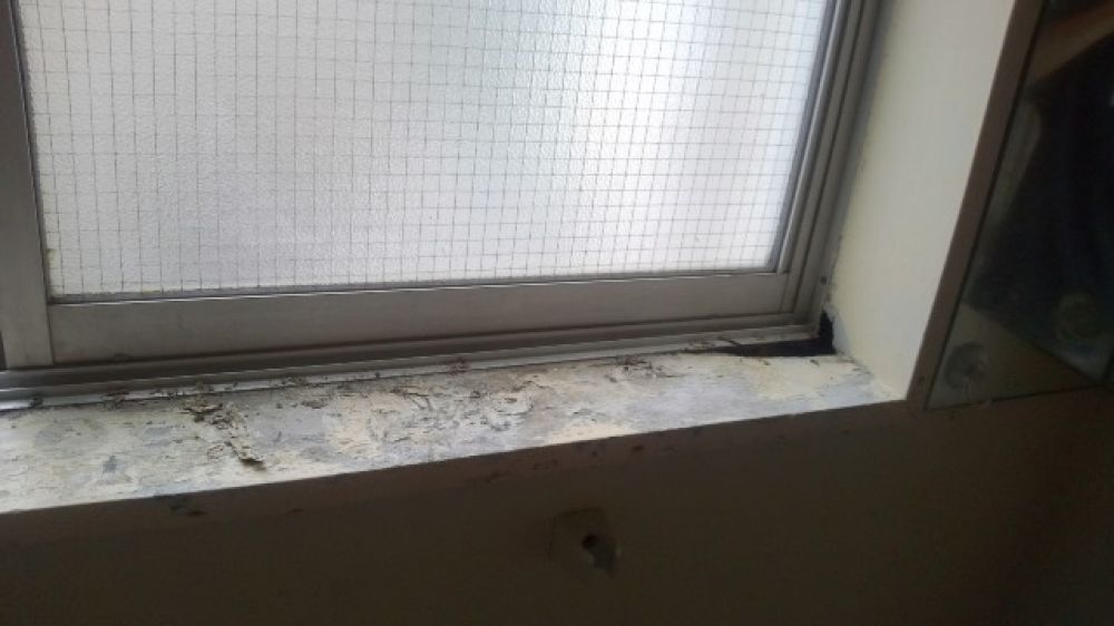 窓 木 枠 修理