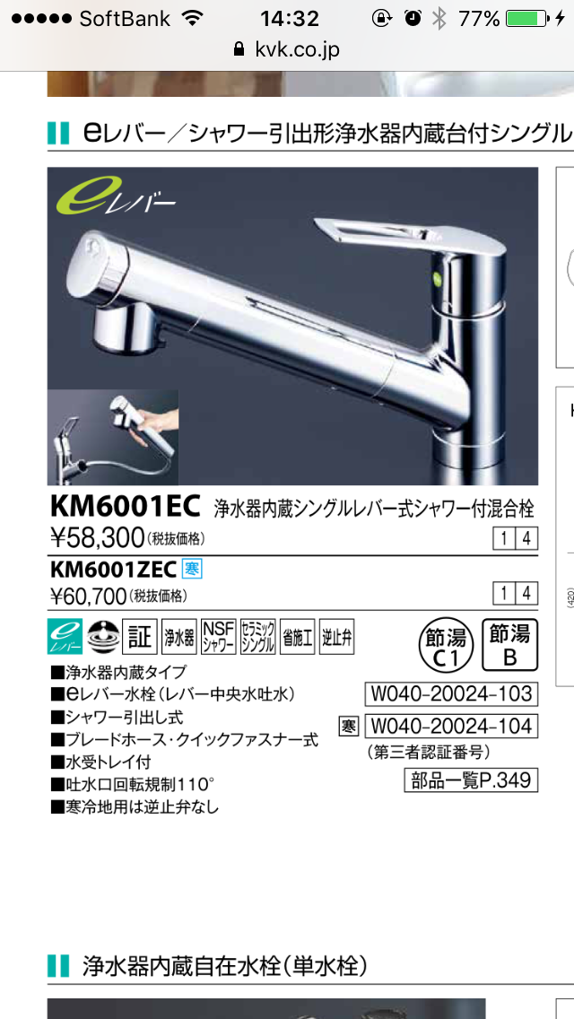 海外 浄水器内蔵用シングルシャワー付混合栓 KVK KM6001JEC2