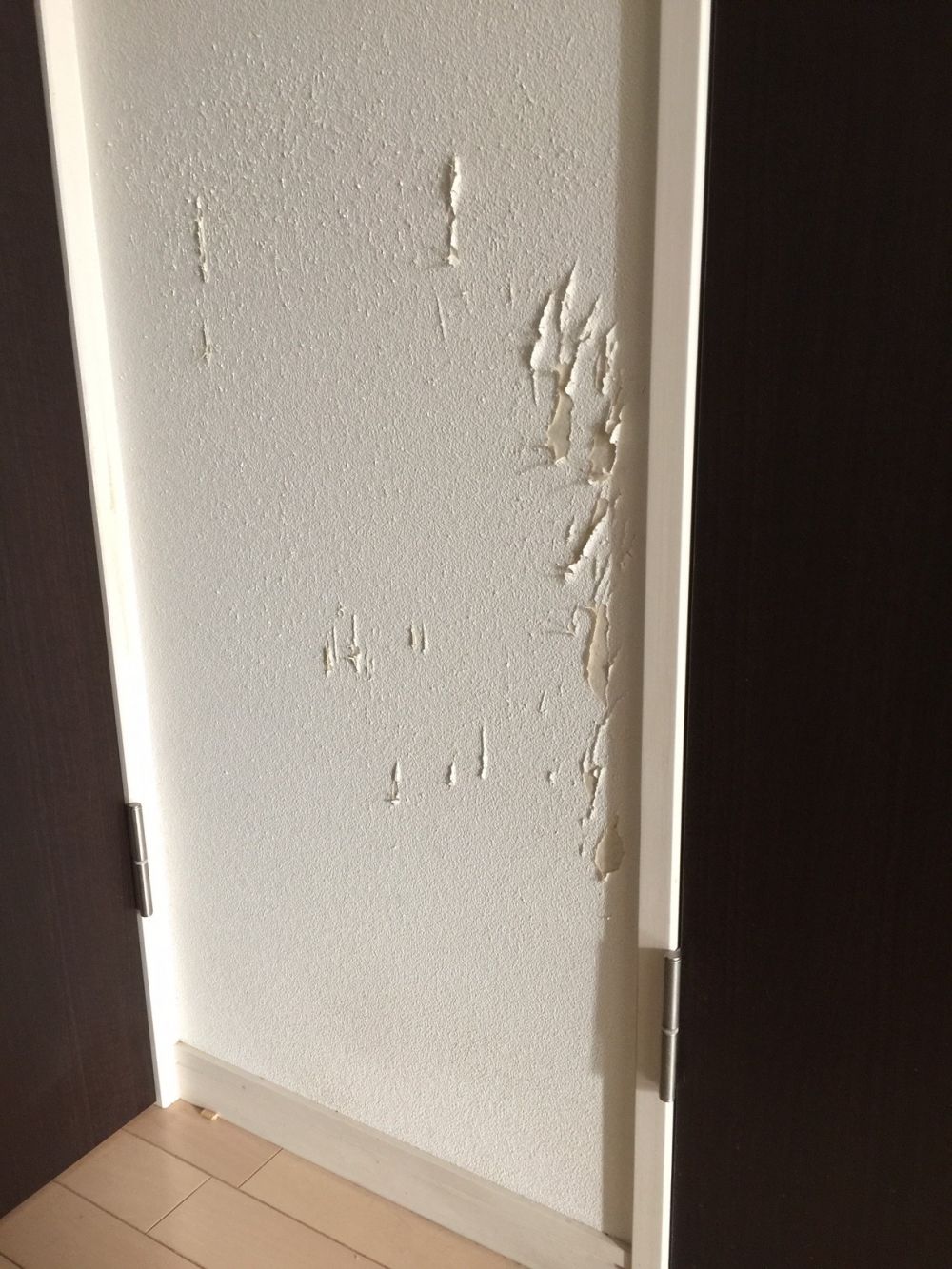 石膏ボードの穴補修５カ所 猫爪とぎの壁紙部分補修 ドアの壁紙補修 リフォームのことなら家仲間コム