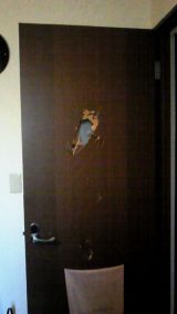 「室内ドアの穴修理をしたい」についての画像