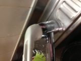 「食洗機用分岐水栓の取り付け」についての画像