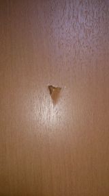 「ドアの穴修理　クローゼットのひび割れ修理」についての画像