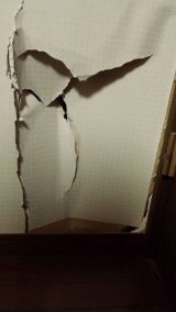 「穴が開いた部屋の壁の補修」についての画像