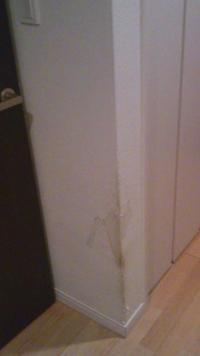 リビングのドア修理と一部壁紙張替え リフォームのことなら家仲間コム