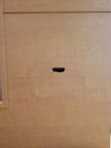 「ドアの穴補修」についての画像
