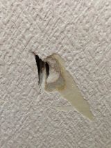 「壁穴の修理をお願いします（大阪市阿倍野区）」についての画像