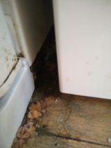 「冷蔵庫下の床腐食」についての画像
