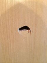 「クローゼットのドア、部屋のドアに穴空きがあり修理したい」についての画像