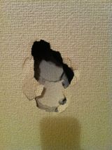 「賃貸アパートの壁穴の補修費用について」についての画像