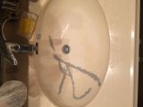 「洗面所の陶器製ボールに物を落とし、ヒビが入ってしまいました（TOTOL548U）」についての画像