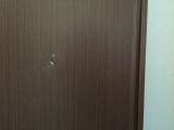 「洗面所の木製ドアの穴（5㎝×5㎝）補修」についての画像