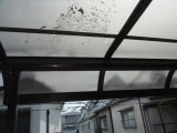 「ベランダテラスの屋根（ポリカ出幅1ｍ幅2.7ｍ）の交換を希望」についての画像