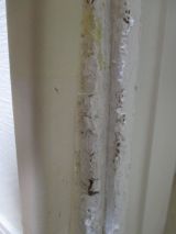 「ペットかじった柱の傷　ドア　掘った床板の継ぎ目修繕」についての画像