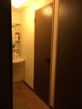 「トイレのドアの穴（W593×H1890）を修復したい」についての画像