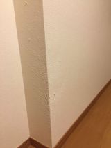 「猫が爪とぎした壁紙修理をお願いします」についての画像