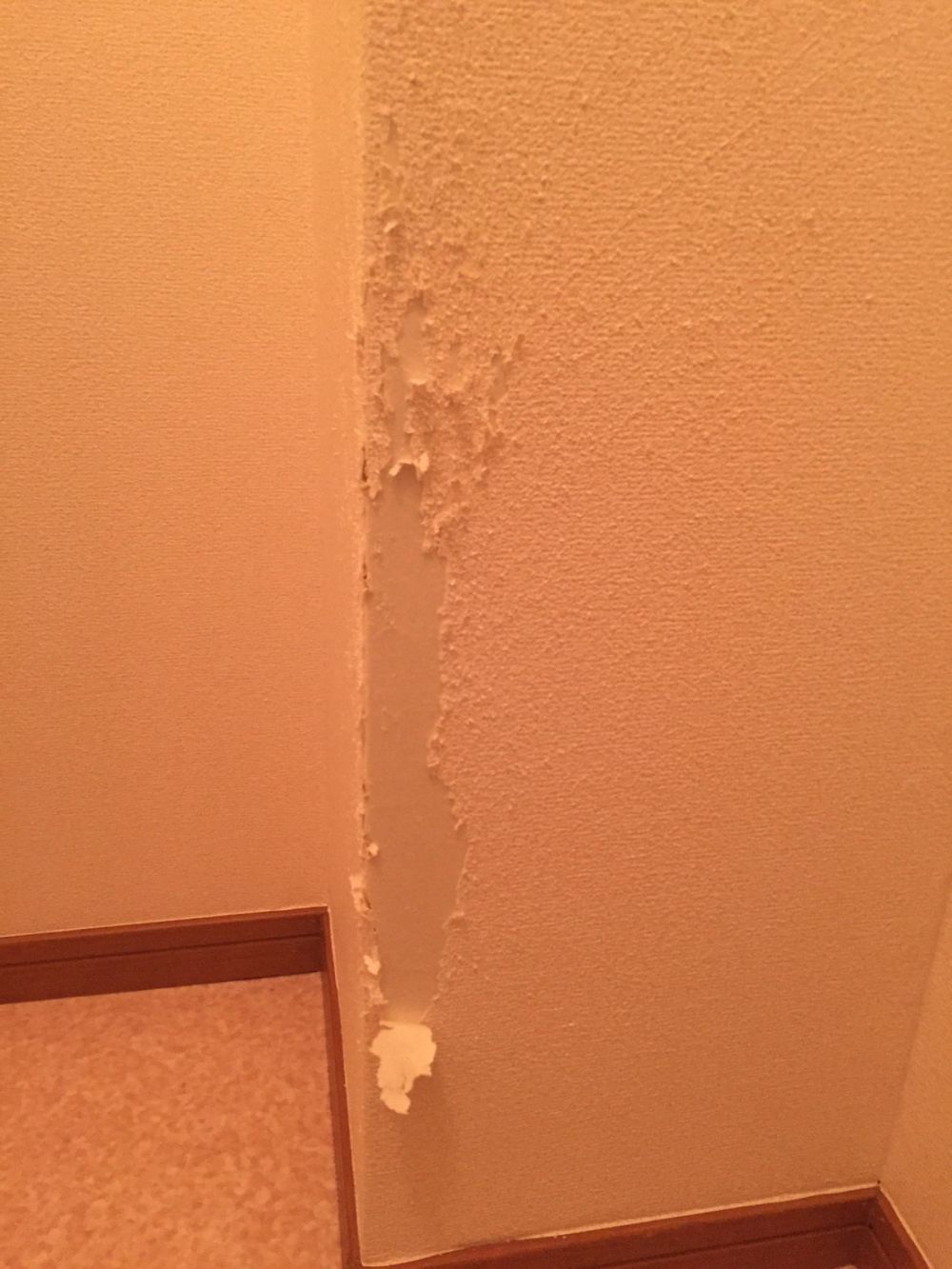 猫が爪とぎした壁紙修理をお願いします リフォームのことなら家仲間コム