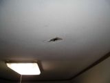 「雨漏りした2階の天井修理」についての画像