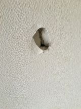 「壁に拳で10cmくらいの穴をあけてしまった」についての画像