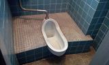 「和式トイレを洋式にリフォーム（テナント）」についての画像