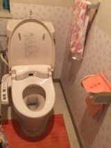 「トイレの壁紙とクッションシートを張替えたい」についての画像