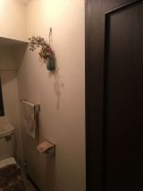 「トイレの壁を一面だけ張り替えたい」についての画像