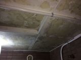 「天井浴室防カビ塗装がしたいです」についての画像
