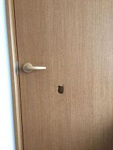 「部屋のドア交換(2ケ)、部屋の壁修理」についての画像