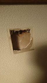 「部屋の壁穴修復を頼みたいです」についての画像