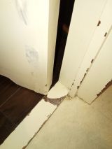 「ドアの塗装剥がれの修理」についての画像