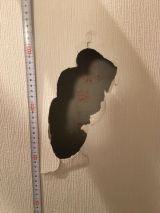 「20センチくらいの壁の穴の修理」についての画像