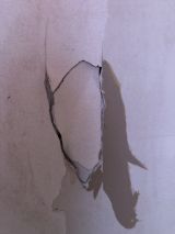 「壁紙の穴とドアの穴の修理について」についての画像