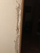 「猫の引っかきで傷ついたドアや壁を直して欲しい」についての画像
