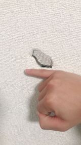 「壁の穴（大きさは小指の長さ）の修理」についての画像