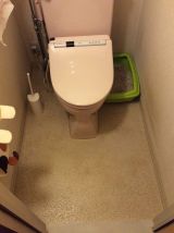 「トイレの床と壁の張り替え」についての画像