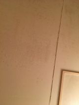 「浴室天井塗装・防カビ塗装」についての画像