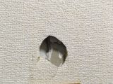 「壁にあいた穴（直径5㎝程度）の補修」についての画像