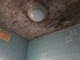 「お風呂の天井塗装とタイルの張り替えをしたい」についての画像