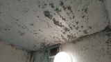「浴室の天井の塗装が剥がれ、カビだらけ」についての画像