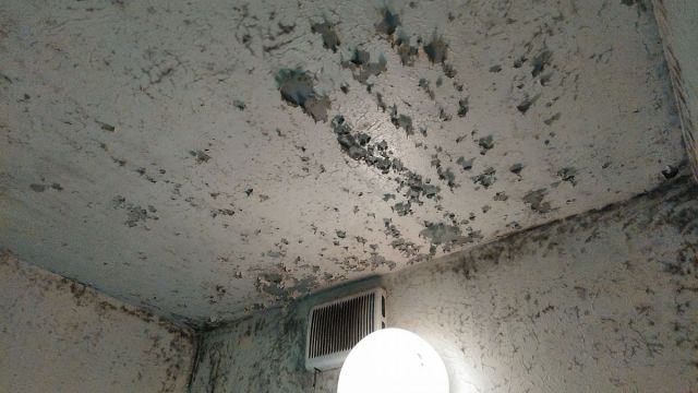 浴室の天井の塗装が剥がれ カビだらけ リフォームのことなら家仲間コム