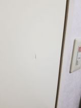 「トイレのドアの凹み（2㎝×1㎝）補修」についての画像