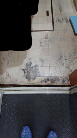 「洗面所の床がカビて変色しています」についての画像