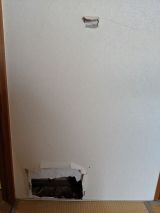 「壁穴30×40㎝程を修理したい」についての画像