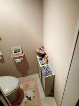 「トイレの壁紙を張り替えたい（D160cm(最長部)×W90cm）」についての画像