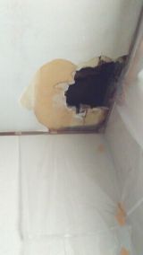 「リビングの天井が雨漏りで穴があいてしまったので張り替えたい」についての画像