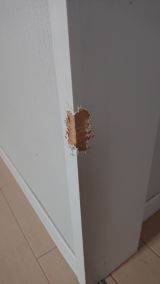 「犬がかじったドア枠を直したい」についての画像