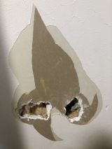 「リビングの壁紙の張り替え（穴空きと汚れ）」についての画像
