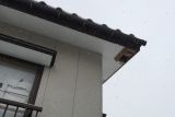 「屋根の軒天修理の見積り」についての画像