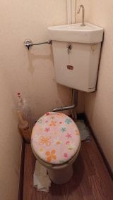 「トイレの便器を交換したい（スペース80×160㎝）」についての画像