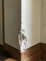 「玄関の壁紙（約15㎝）修理」についての画像