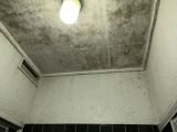 「浴室、壁と天井にカビが生えているので、塗装してほしい」についての画像